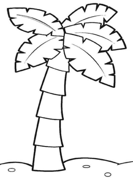 Пальма раскраска для детей