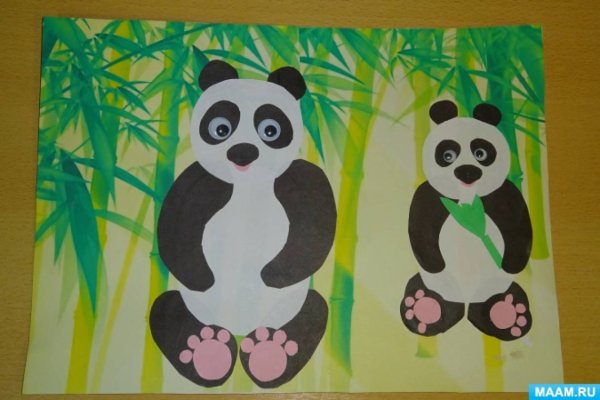 Панда из ватных дисков аппликация