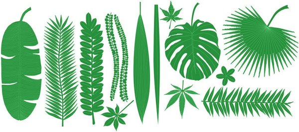 Листья папоротника из бумаги