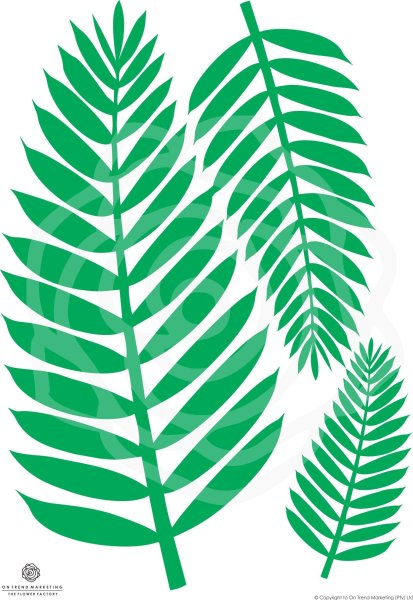 Лист пальмы