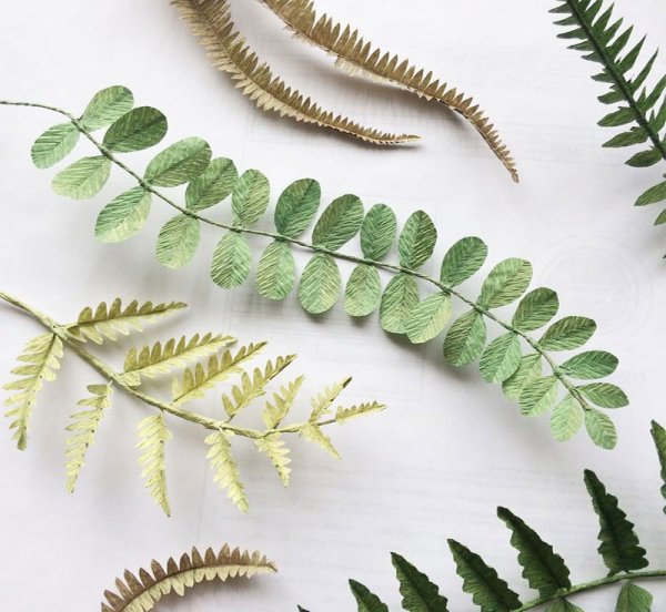 Лист папоротника