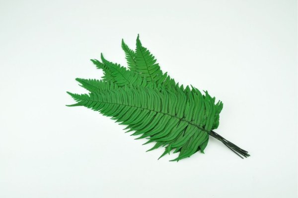 Папоротник Рокферн