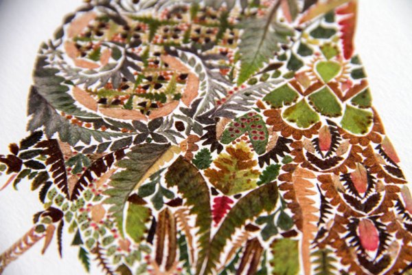 Картина из сухих растений Хелен Апорнсири