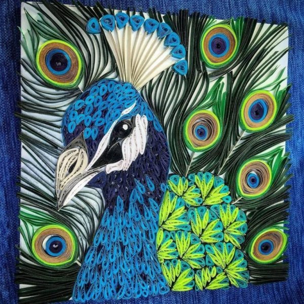 Ниткография Павлин