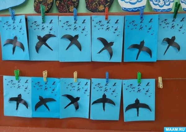 Птицы старшая группа