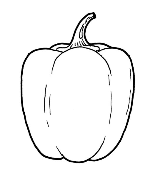 Перец контур для детей