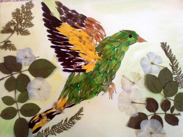 Поделки яркое царство пернатых