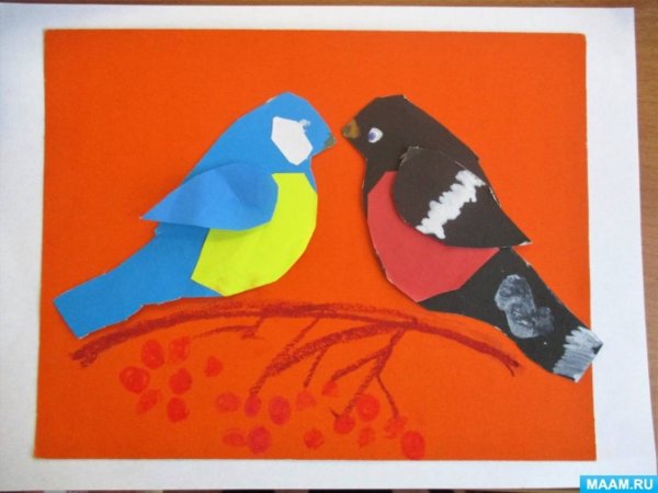 Аппликация зимующие птицы подготовительная группа