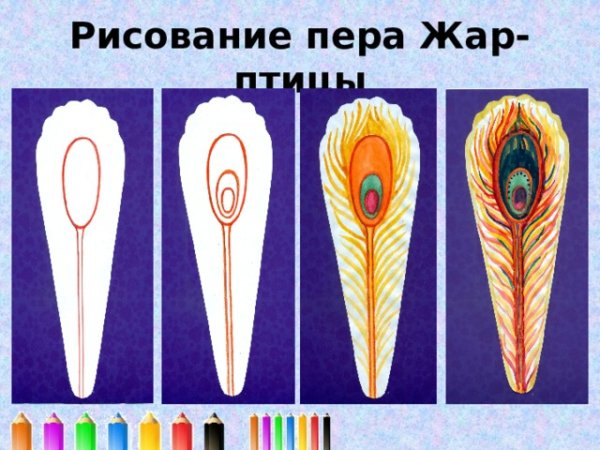 Рисование перо Жар птицы в подготовительной