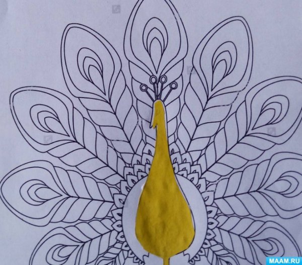 Аппликация перо Жар птицы в подготовительной группе