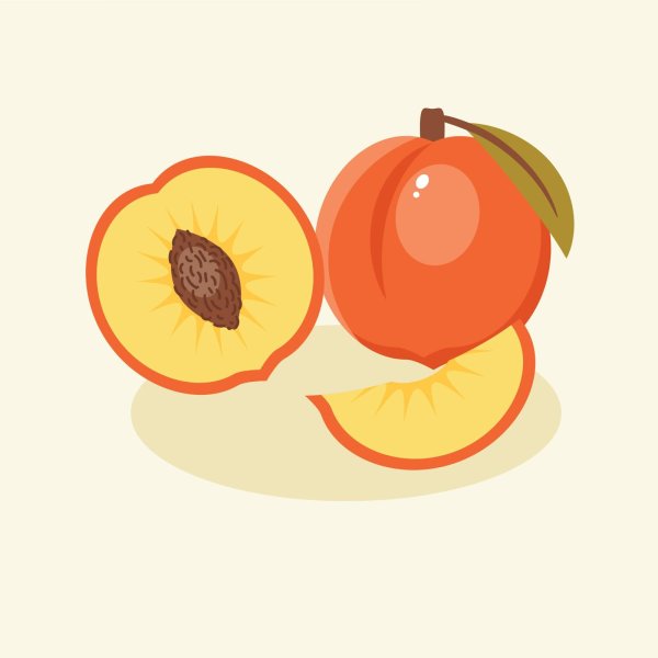 Персик вектор