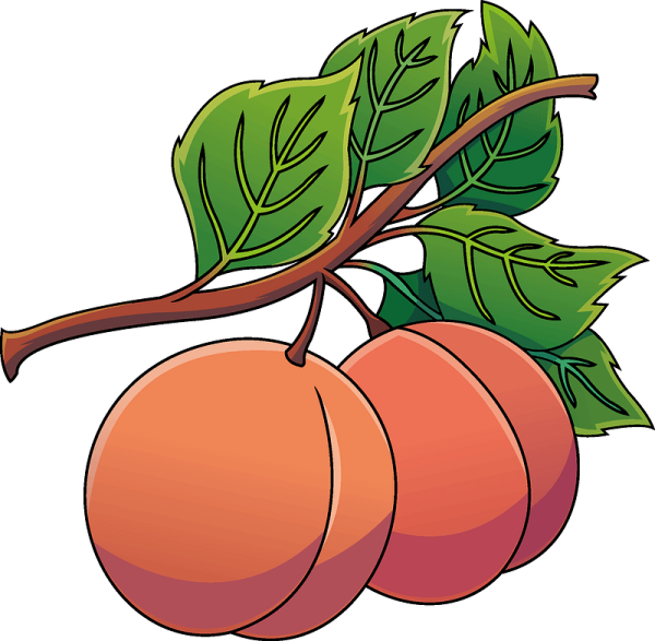 Абрикос мульт