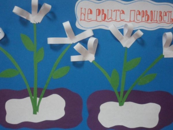 Аппликация первоцветы