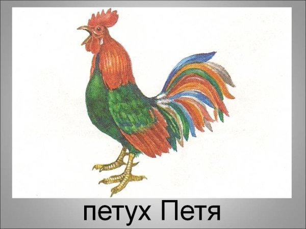 Петя, Петя, петушок