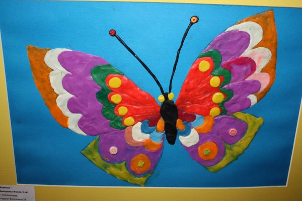 Бабочка из пластилина на картоне