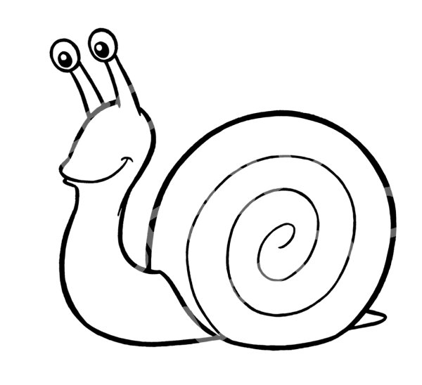 Улитка раскраска для детей