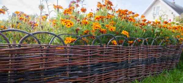 Декоративный плетеный забор