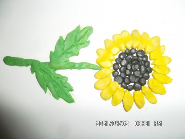 Пластилинография подсолнух средняя группа