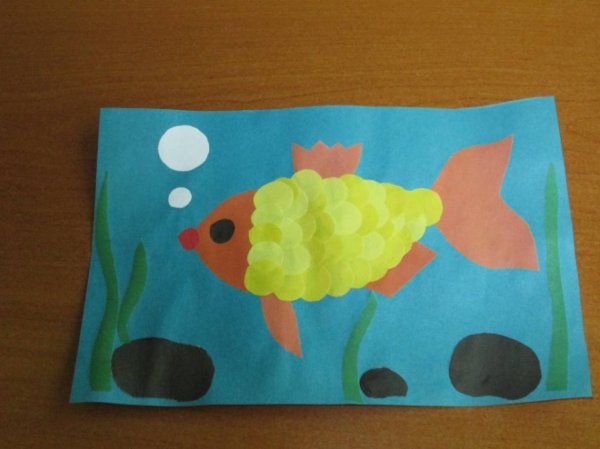 Аппликация Золотая рыбка в средней группе