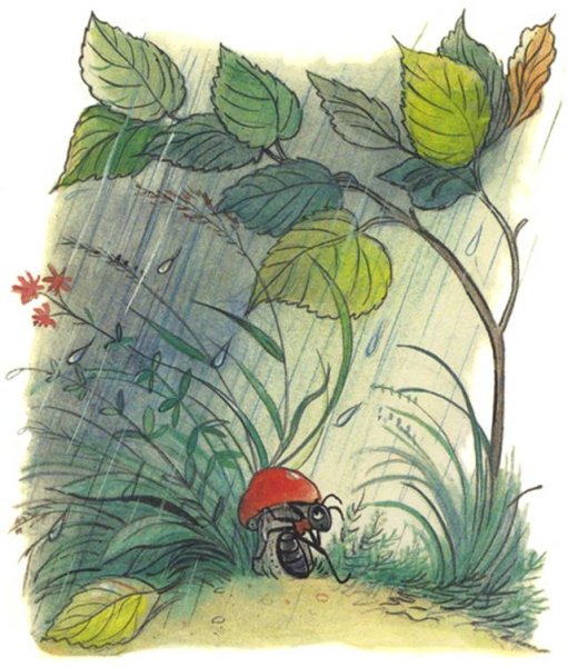 Сутеев в. "под грибом"