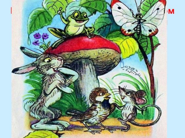 Сутеев грибок