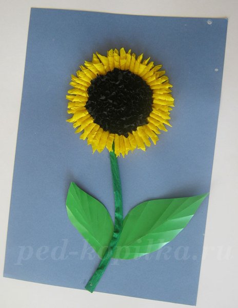 Аппликация подсолнух