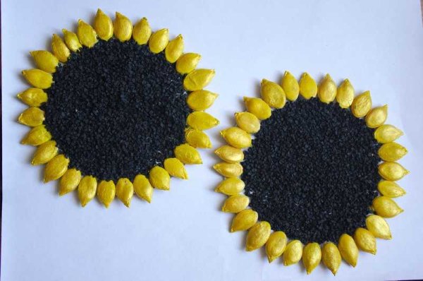 Аппликация из семян