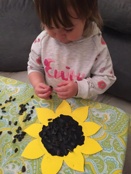 Подделка изз подсолнух