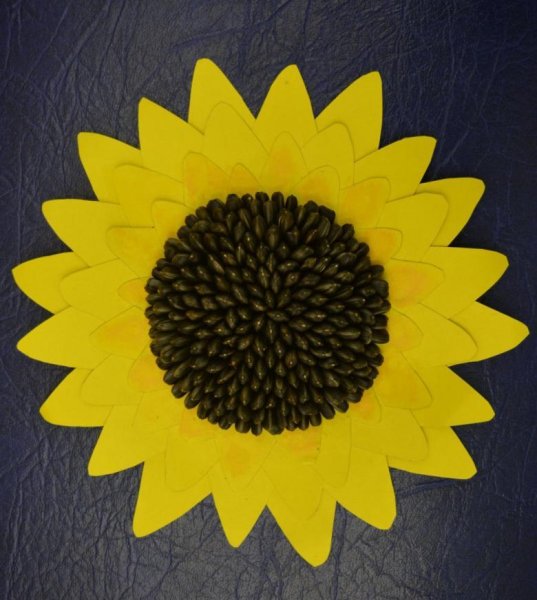 Поделка из семечек подсолнуха