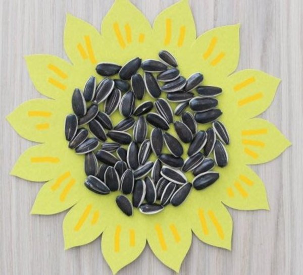 Поделки из семян подсолнечника