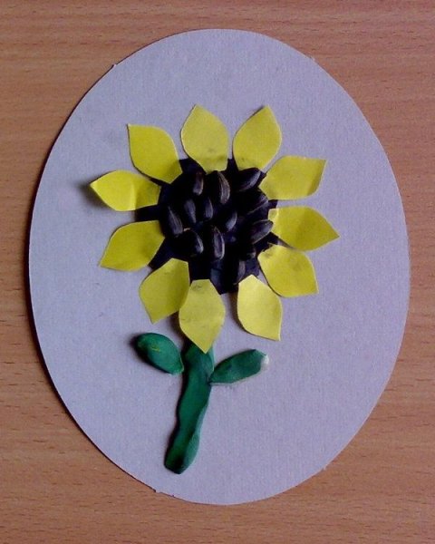 Аппликация подсолнух в средней группе