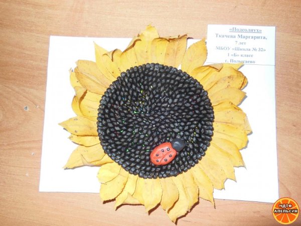 Подсолнух из листьев и семечек