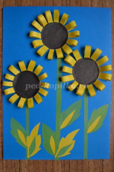 Аппликация подсолнух в старшей группе