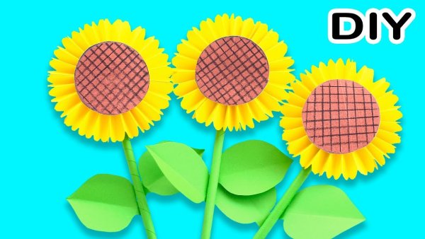 Подсолнух аппликация из бумаги