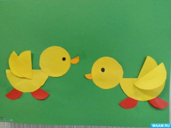 Аппликация домашние птицы старшая группа