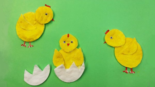 Цыпленок из ватных дисков