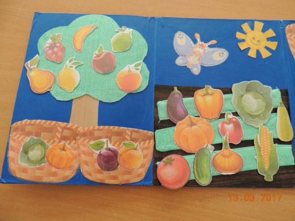 Фрукты старшая группа