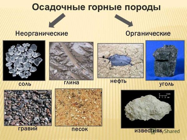 Осадочные горные породы 5 класс география