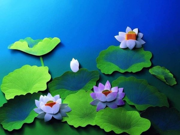 Объёмная аппликация из бумаги