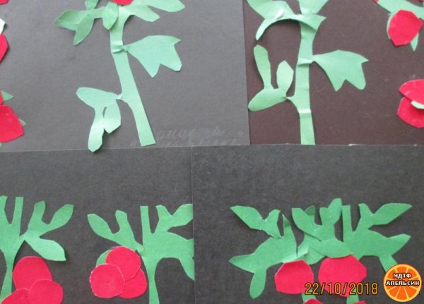 Грядка аппликация