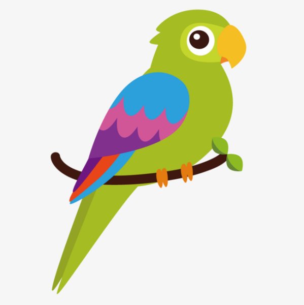 Аппликация попугай