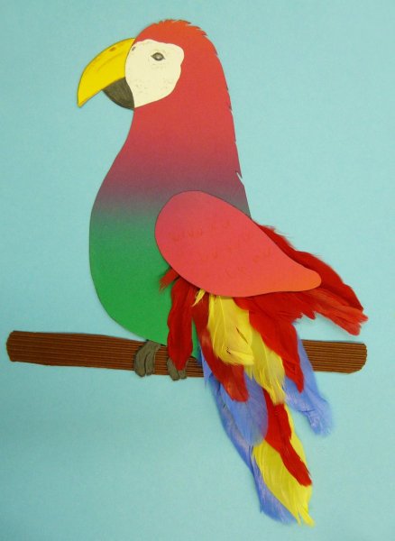 Аппликация попугай из цветной бумаги
