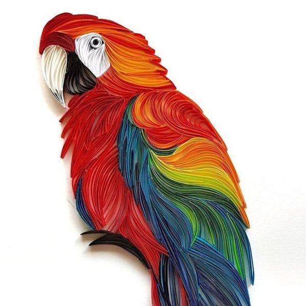 Квиллинг попугай