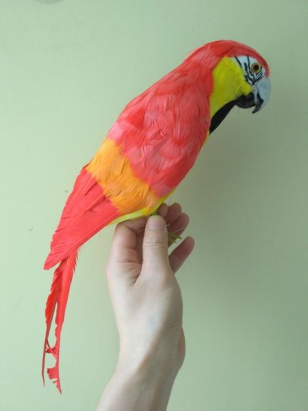 Макет попугая