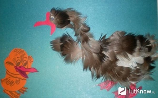 Поделки из перьев птиц