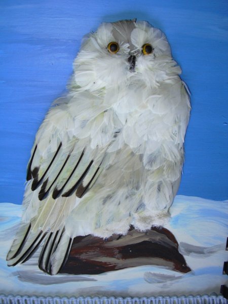 Панно из перьев птиц