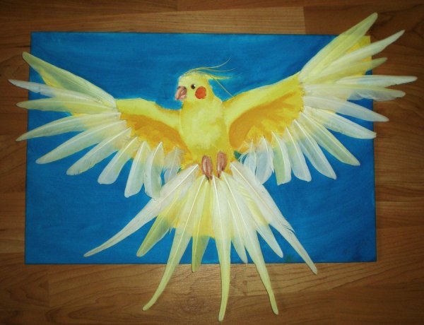 Поделки из перьев попугая