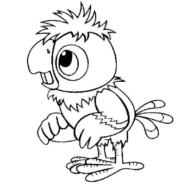 Раскраска попугай