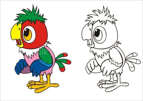 Попугай Кеша мультфильм раскраска