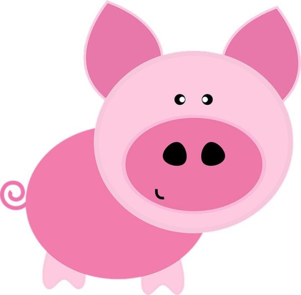 Свинья розовая